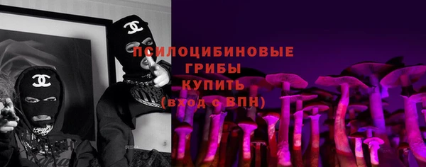 ПСИЛОЦИБИНОВЫЕ ГРИБЫ Армянск