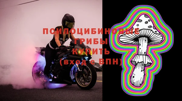 гидропоника Арсеньев