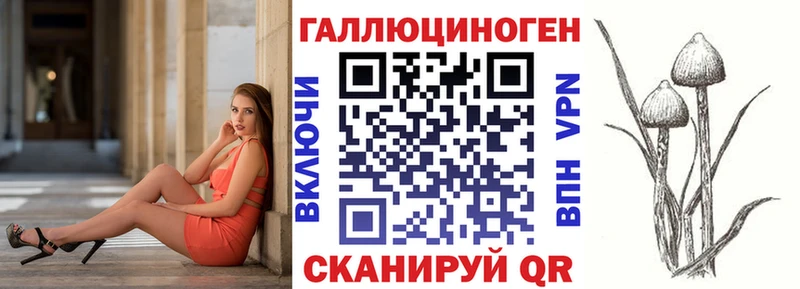 Псилоцибиновые грибы Psilocybe где можно купить Нея